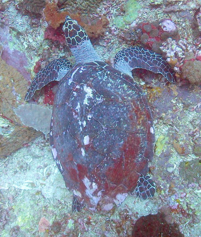 9952cb61-5ebb-4214-845a-e4ced2c058d2