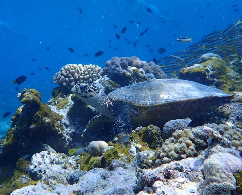 0c0cfeba-133a-48e8-b8c2-1470f8c70053