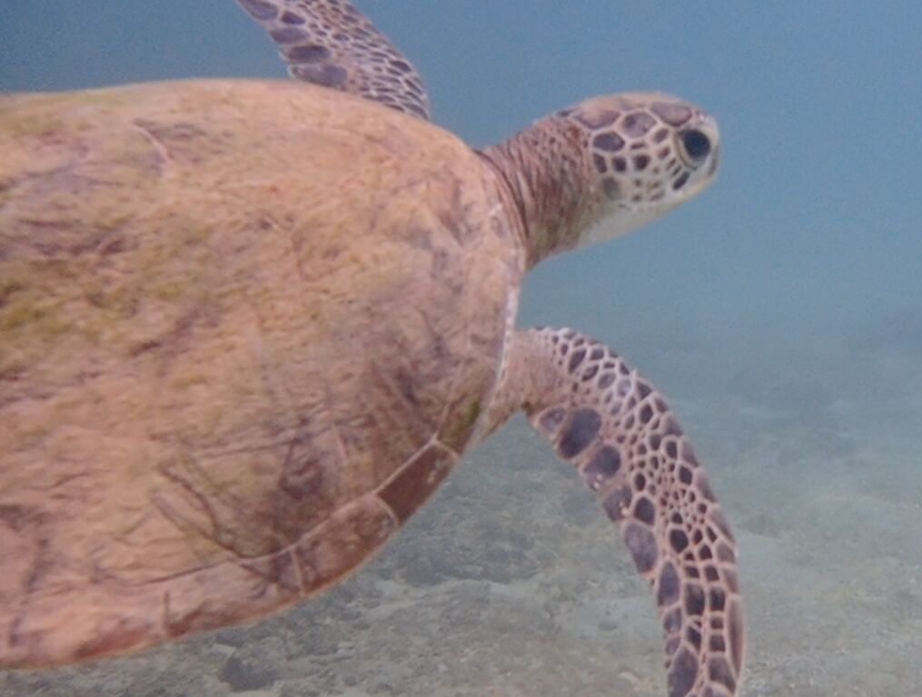 03a64a09-dbaf-4de4-8452-36dff5eef5c9