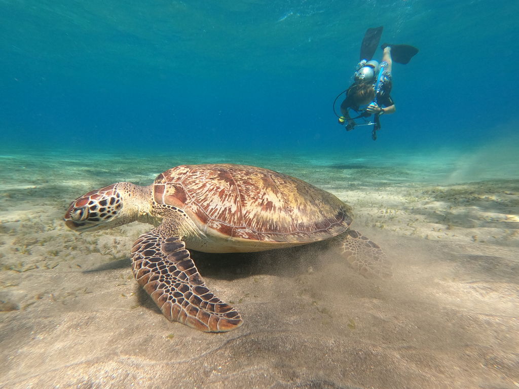 8e6a8951-1b69-4a84-b228-d98dd527cd28