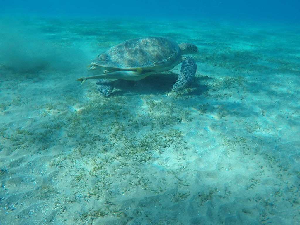 be467fe5-ea19-4c08-8c8a-5ef47dbc5df0