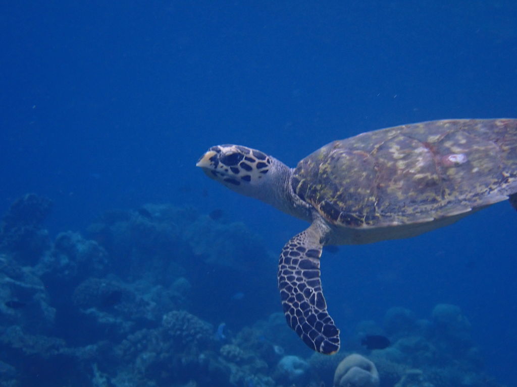 efb5efe2-6a92-45ab-a027-65de0bfbbf16