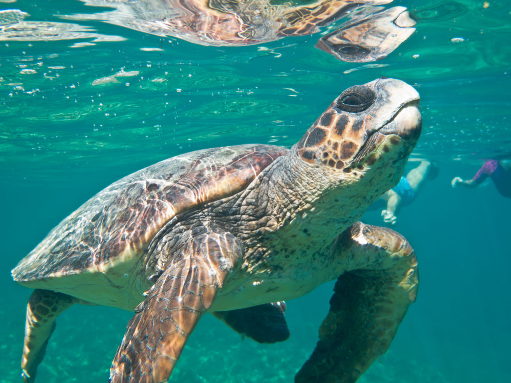 fd650082-31c6-4c4a-885e-f87e86795ade