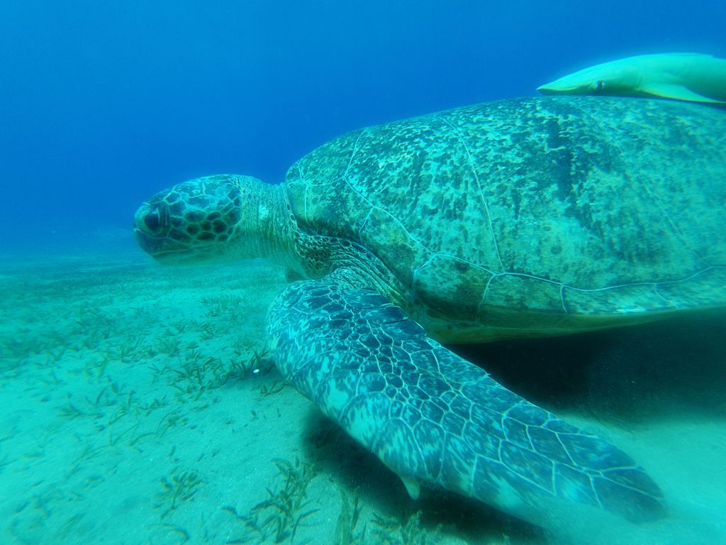 46e9aaf4-5ad1-4927-b019-d8ee006e609e