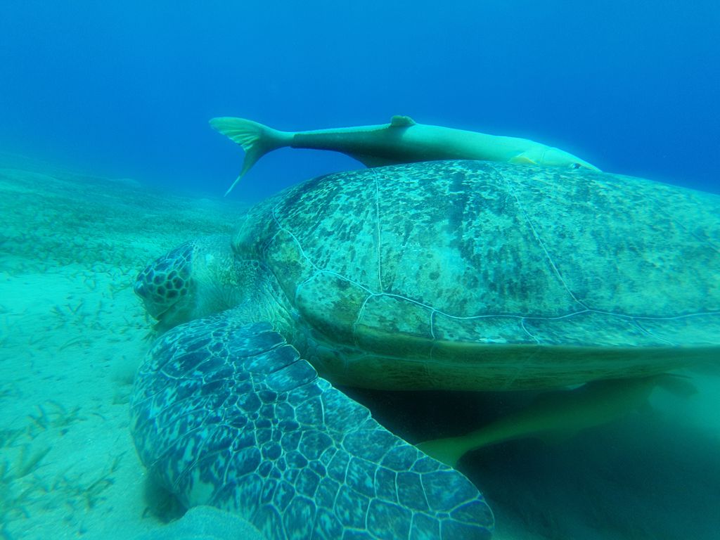 46e9aaf4-5ad1-4927-b019-d8ee006e609e