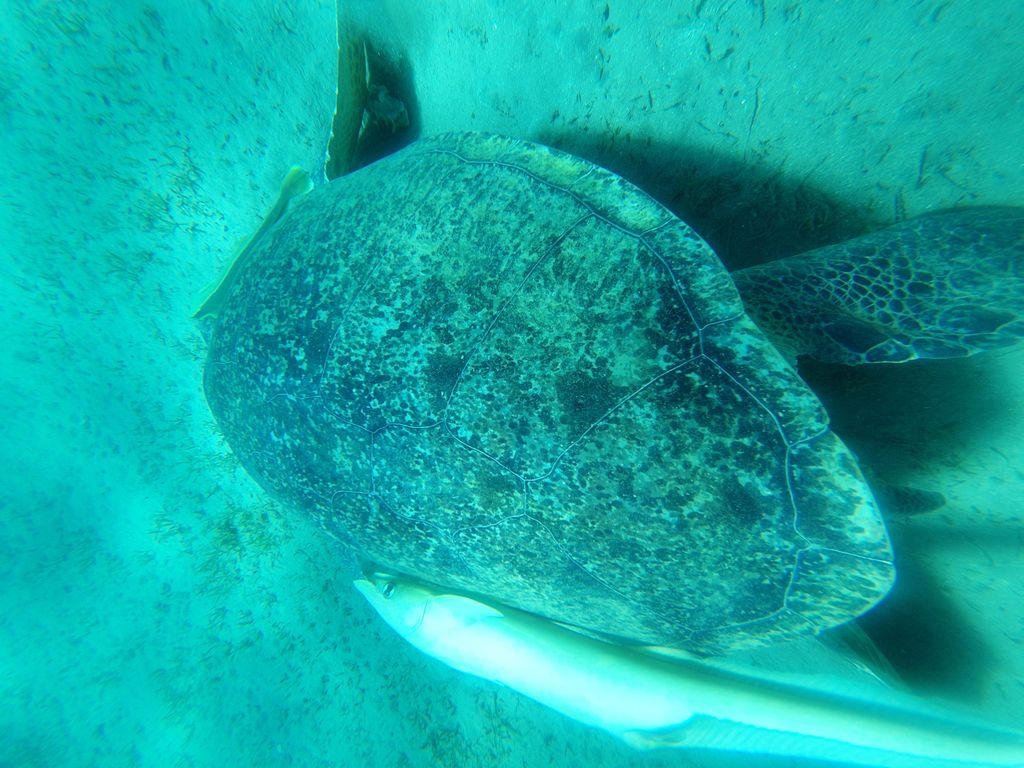 46e9aaf4-5ad1-4927-b019-d8ee006e609e