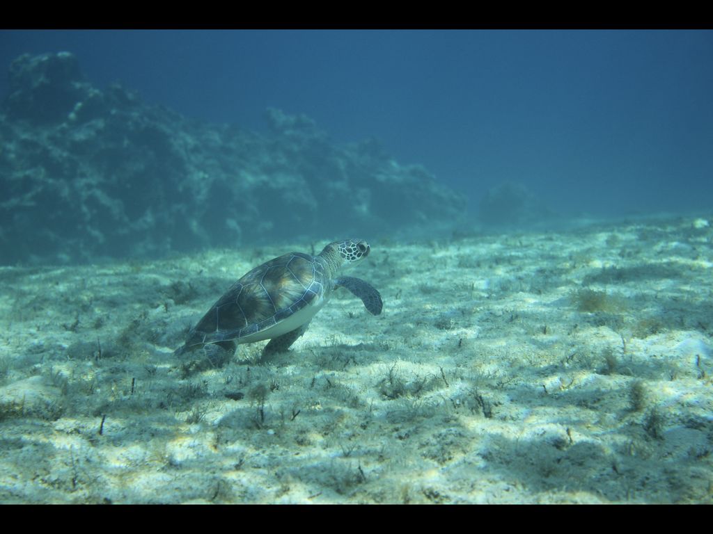 e536f214-13b5-48b7-9559-2f9e68291384