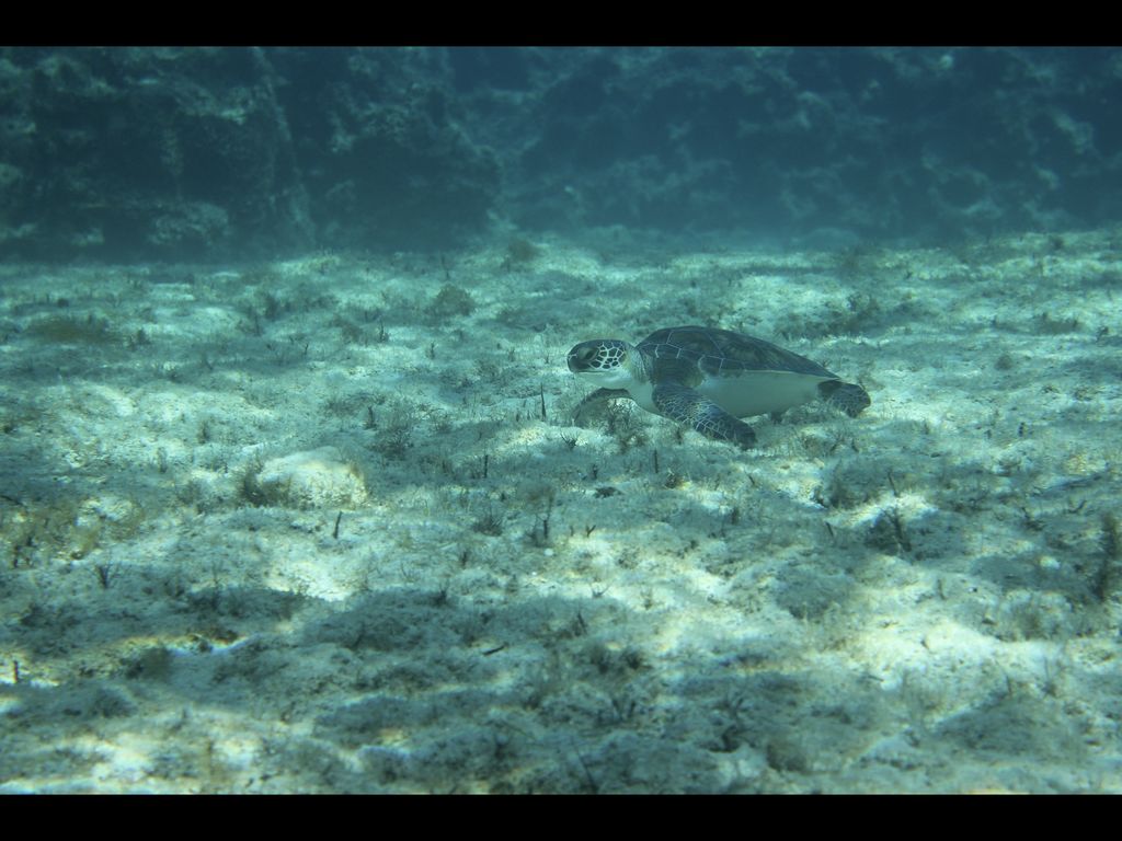 e536f214-13b5-48b7-9559-2f9e68291384