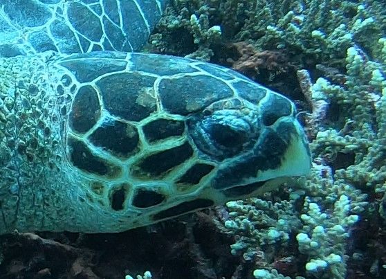 57eacf01-8975-4076-9cf9-19aa697443ea