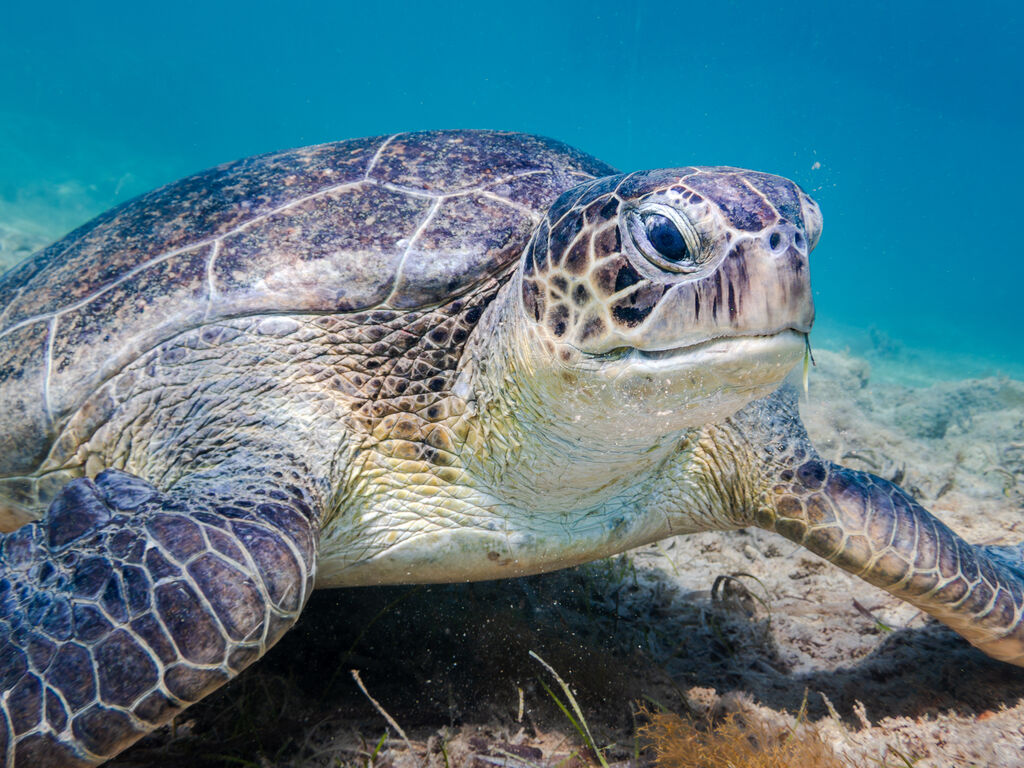 f334703c-d8f0-4fa5-9f51-1043c51d5cfb