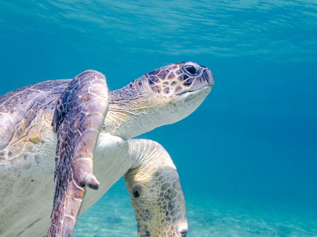 f334703c-d8f0-4fa5-9f51-1043c51d5cfb