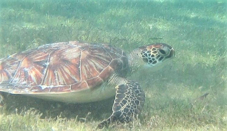 390985b4-9449-49a2-a830-fd57ebd15800