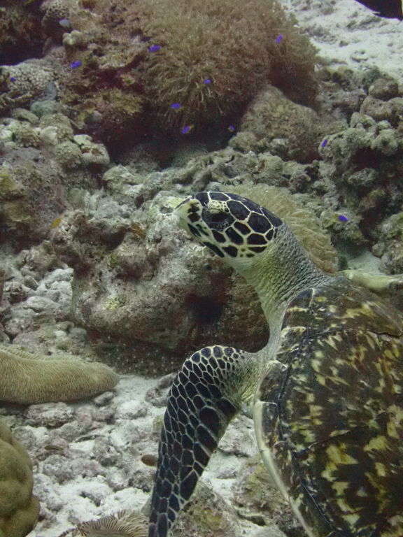 efb5efe2-6a92-45ab-a027-65de0bfbbf16