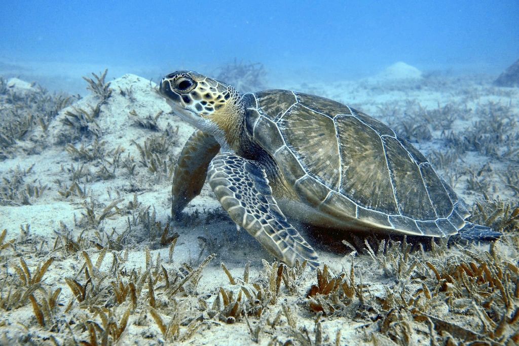 5377c463-d0cb-44dd-9bba-ed83ed9fe245