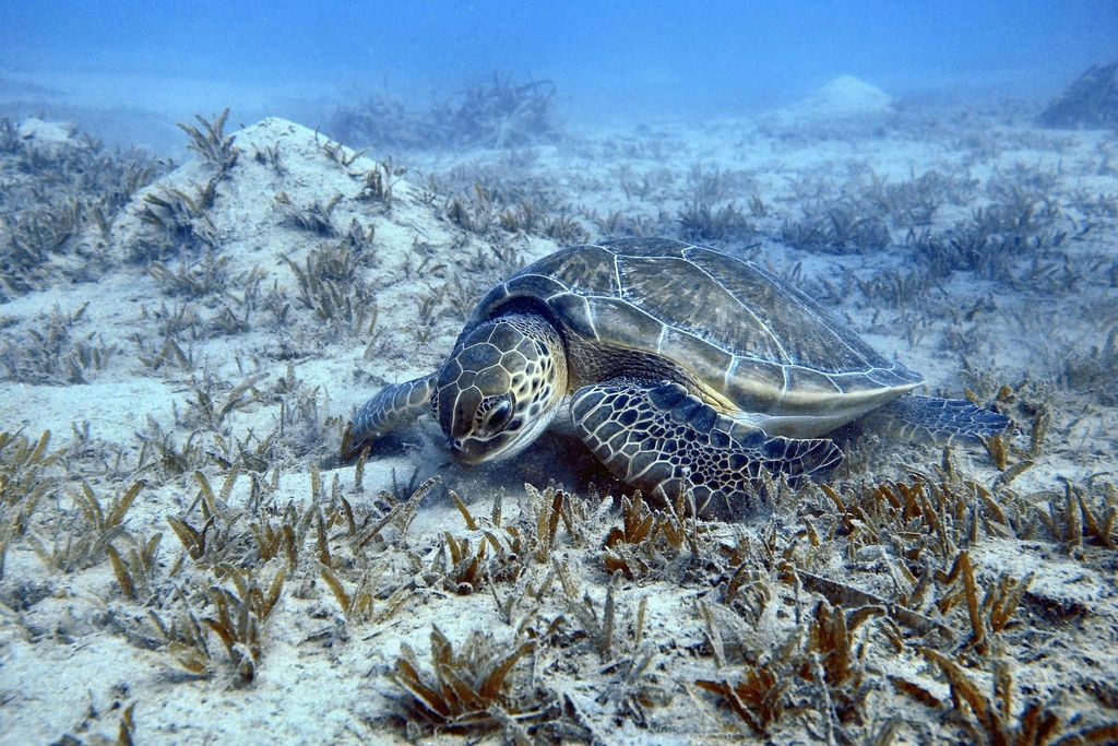 5377c463-d0cb-44dd-9bba-ed83ed9fe245