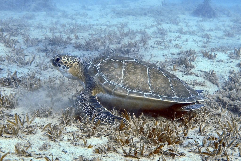 5377c463-d0cb-44dd-9bba-ed83ed9fe245