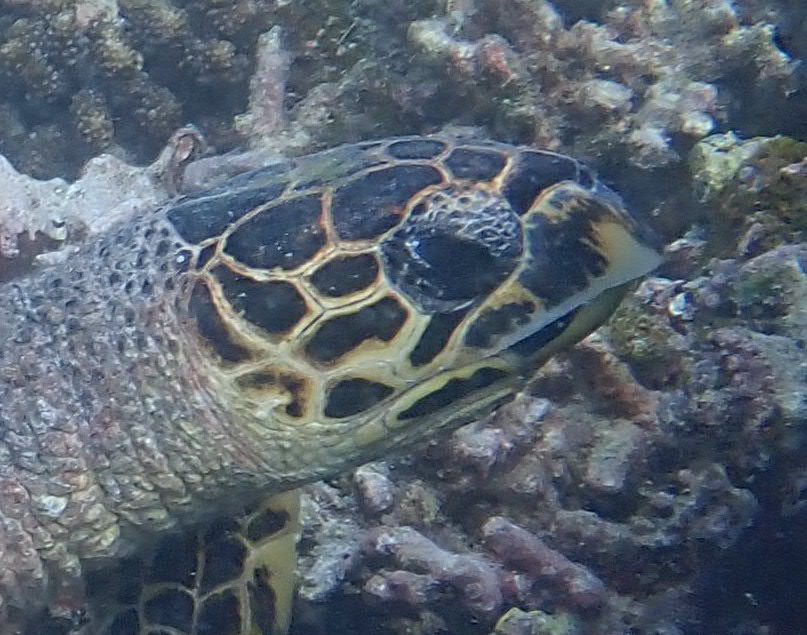 0c1ab25a-9931-4008-9b28-f398ab67b142