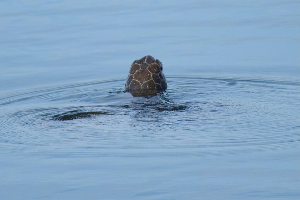 7b6d440c-ba30-4c53-850d-8a19f6e0d495