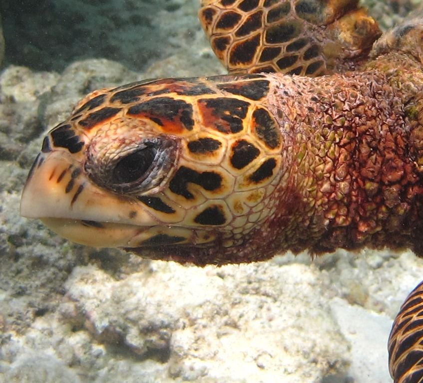 742b0310-ca9a-411f-bb60-2db0cbf4f924