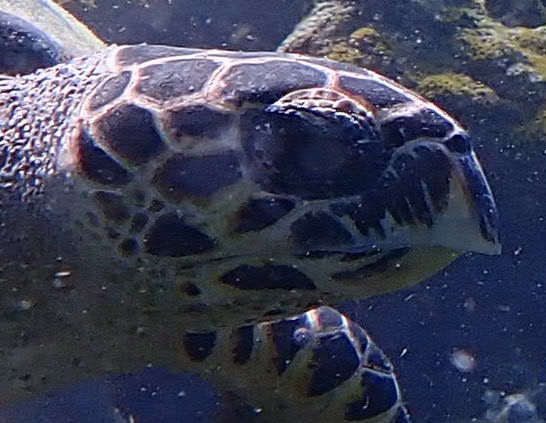 4044146b-cf4a-4cb5-b1c5-e2f95830c40d