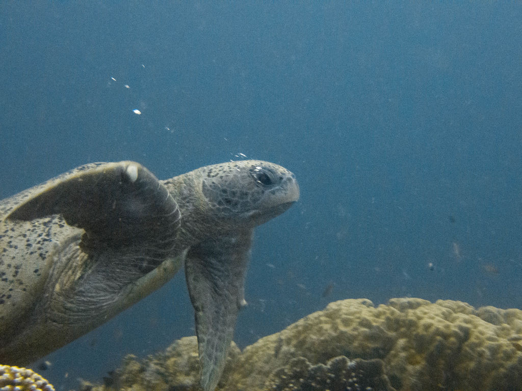 954ec3a5-47c3-47b6-a886-bd60b51c3413