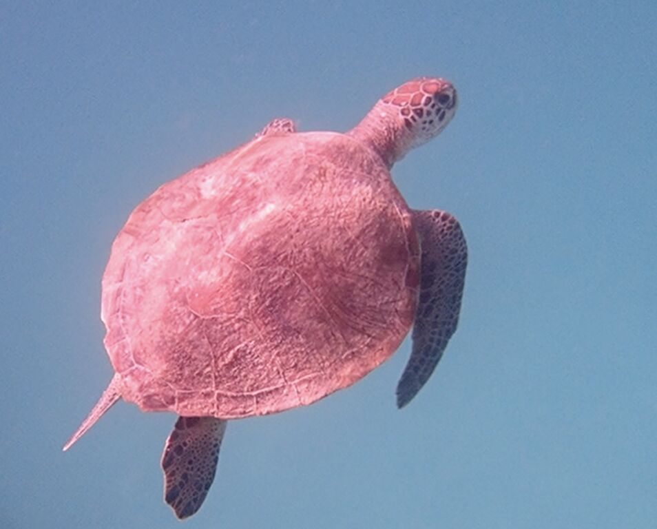 fa6540ad-138b-4038-8c64-8d88987617a2