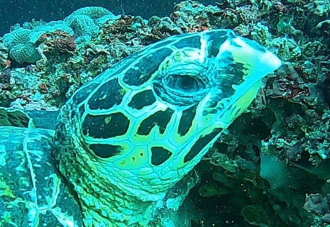 909c6108-329e-4d64-b02d-edea6e423812