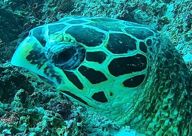 909c6108-329e-4d64-b02d-edea6e423812