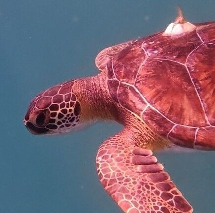 ec4ddaf4-5296-4644-93a9-b6499c55904a