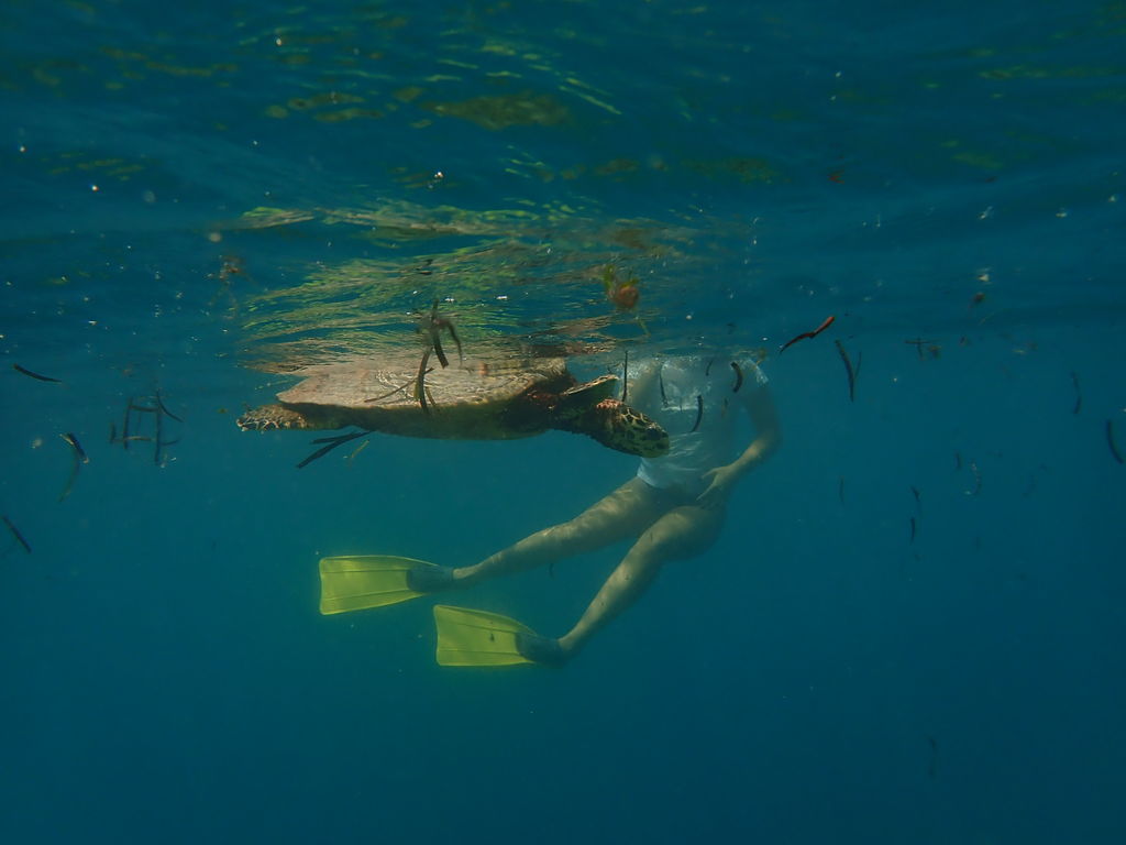 969959da-a6bb-4b90-a7b9-464c8cbcaece