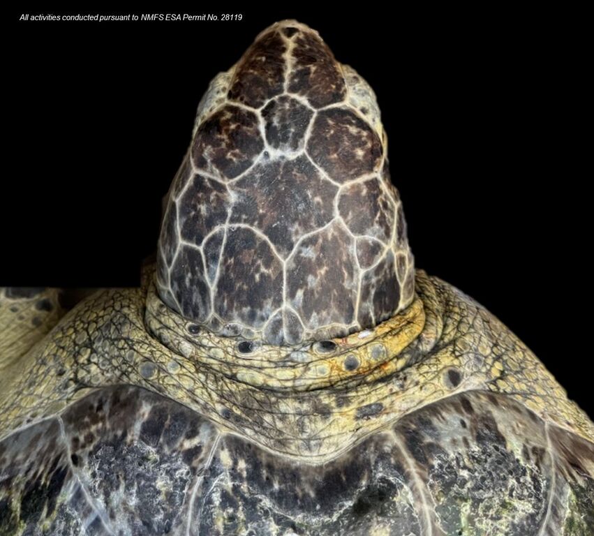 136c01c9-4f4d-4755-bec9-c916c3635a19