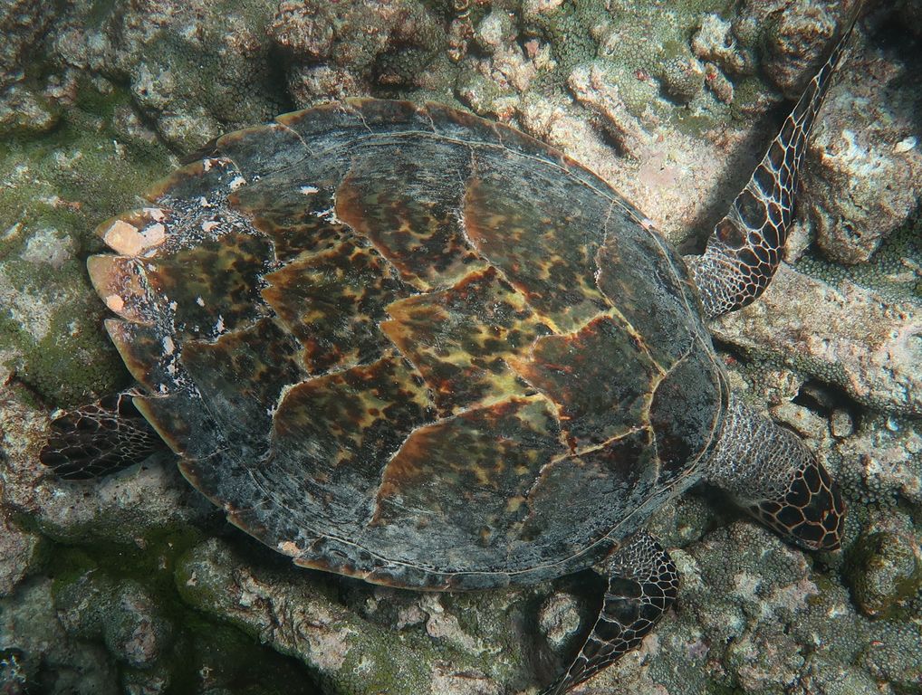 f561ff65-7e80-4094-892c-1e2bbaa6d4d1