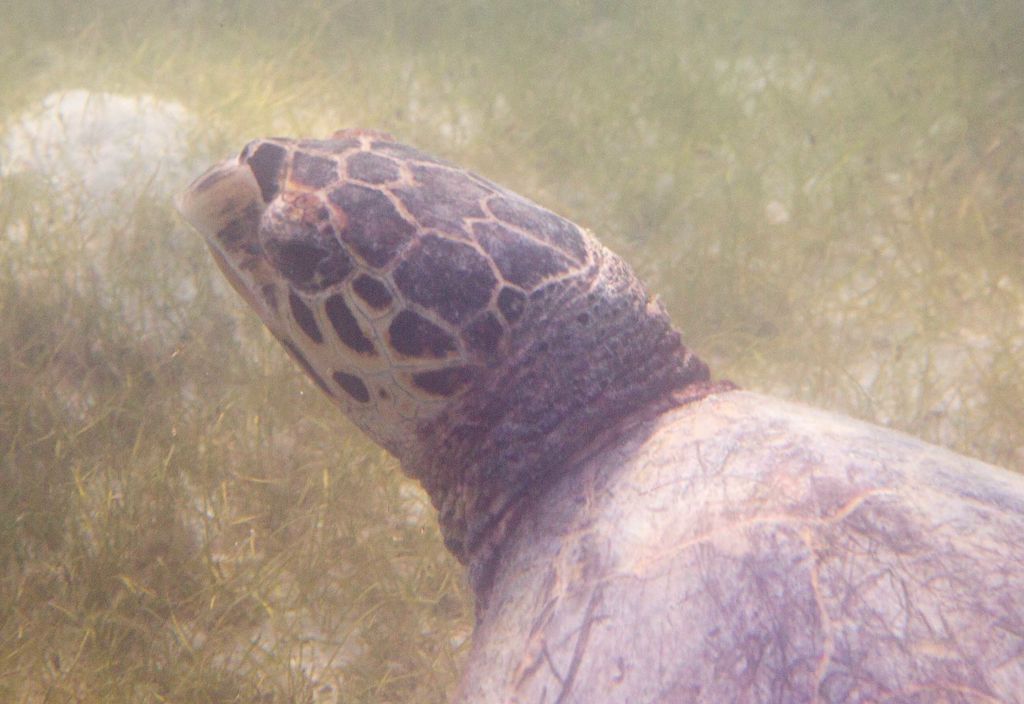 81774604-48f7-4b85-b8fd-a5a84530f3a2