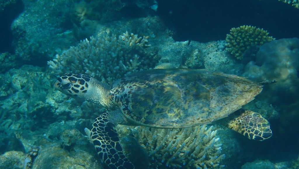 88ef67a1-c654-4632-a7e5-ec306695b4df