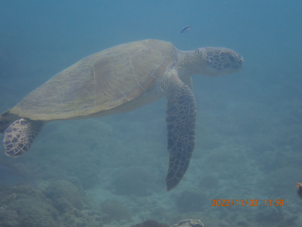 98ef5b3c-bcd2-44d9-b5e4-68567971e8fe