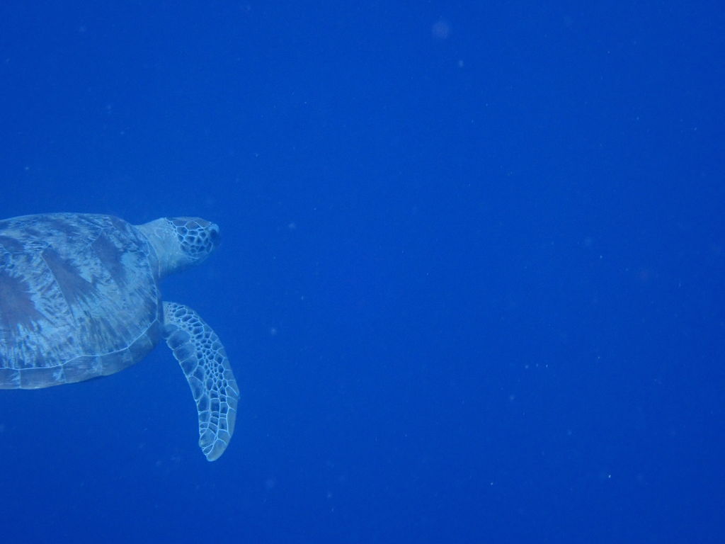 9e71f4d5-5933-440c-a2f1-5375f0e77789