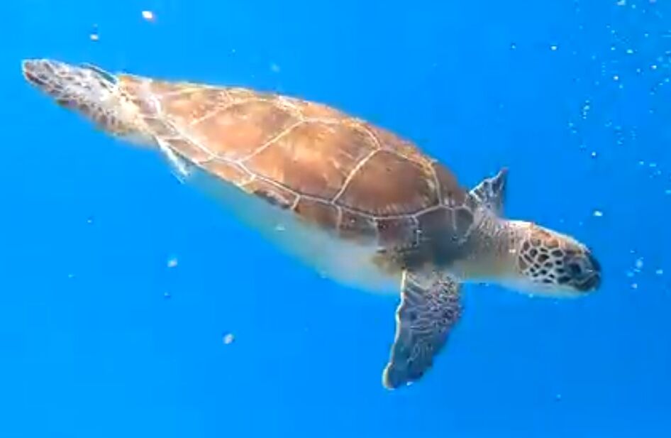 3f548098-e0a2-4202-8d5d-59ef4c4d2839