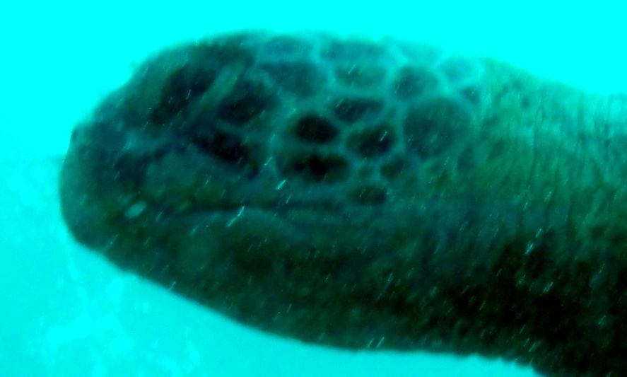 4382fbcc-affb-4f8e-b34f-ba82950f04a1