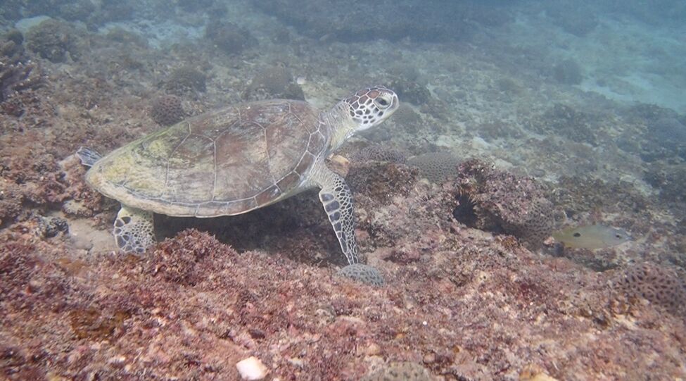 ea660ee7-f223-4719-97ab-30e808e582ab