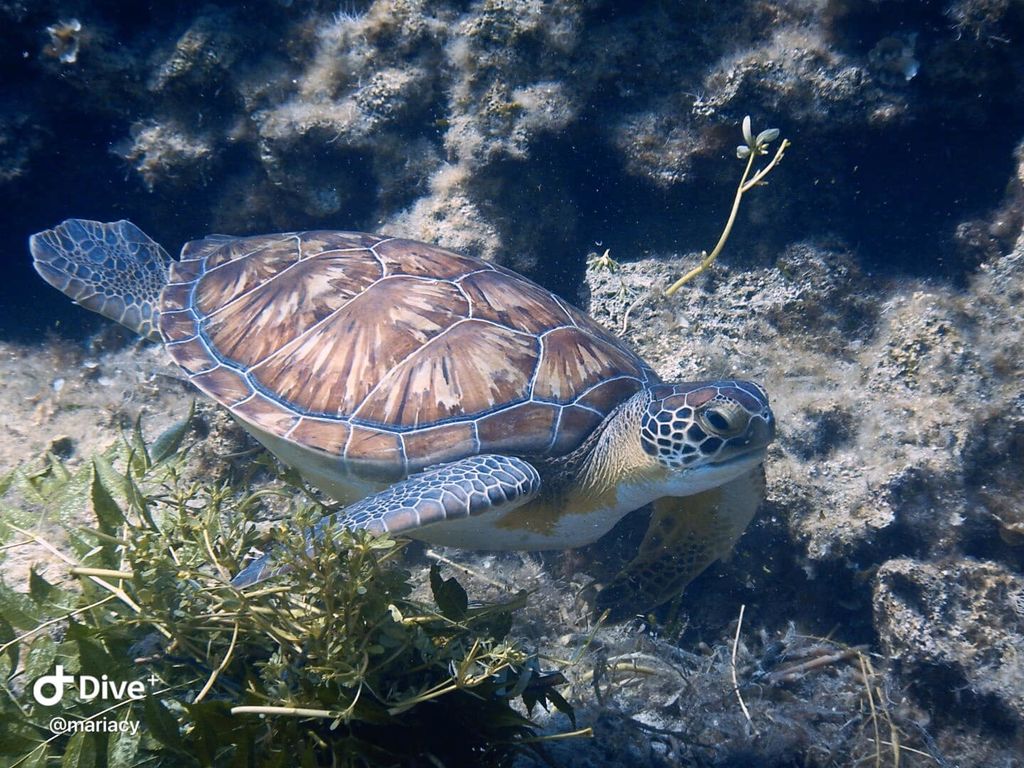 ba44b662-6f09-438a-8779-27418531603d