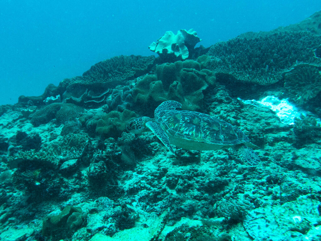 b78d916a-e817-4b39-a6a0-554247ac74dc