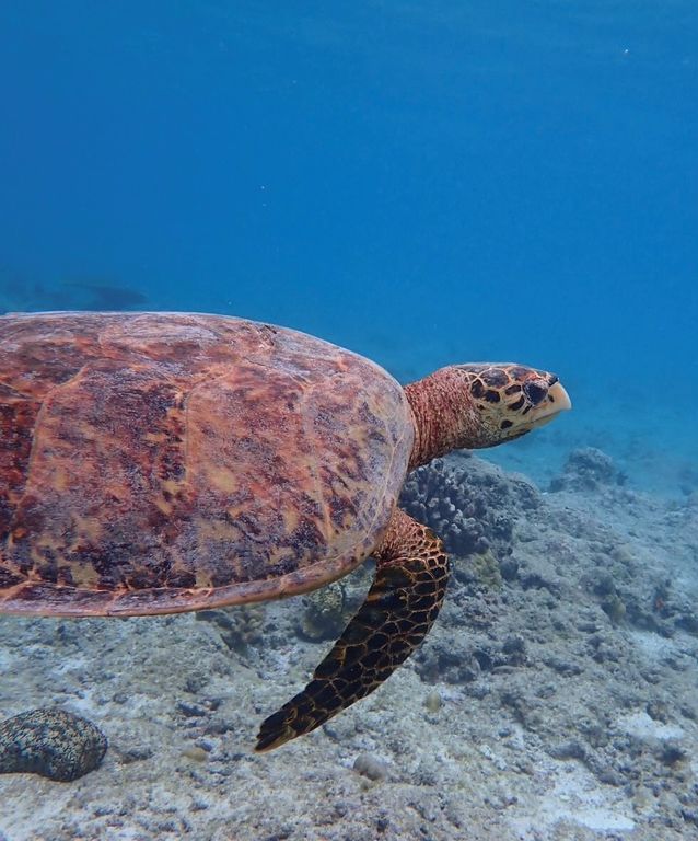 0eb87928-925d-461f-9a3d-66c697da39b5