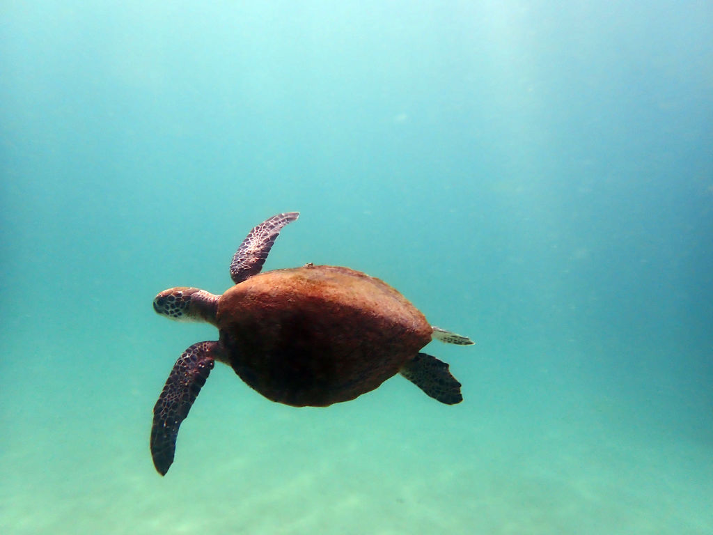 316a40d1-1962-4e73-a320-4cbc28fbe416