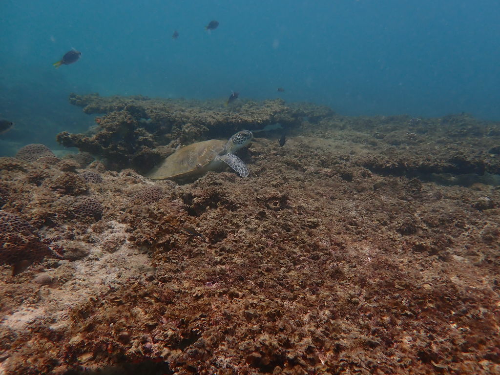 316a40d1-1962-4e73-a320-4cbc28fbe416