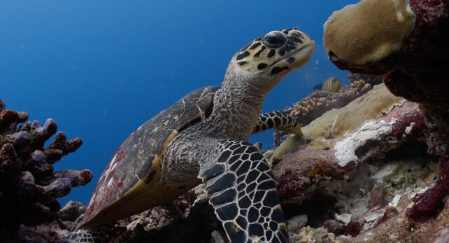 3f426941-ddd3-4bed-bda4-e6fb9b1d074f