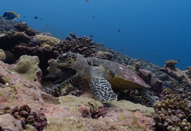 3f426941-ddd3-4bed-bda4-e6fb9b1d074f