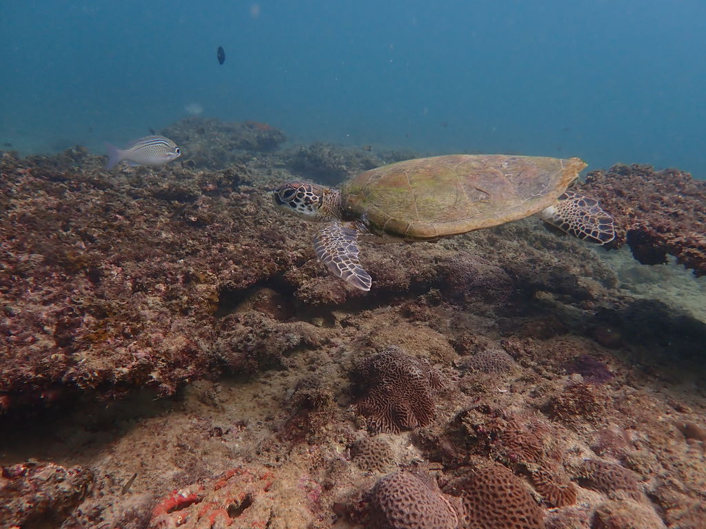 f2dfaff9-a54c-4a4a-b9b1-4428b5825d1e