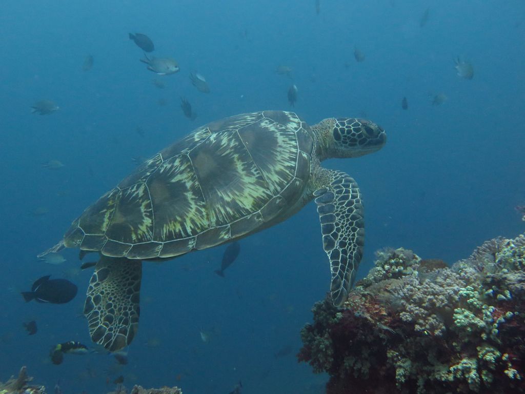 0e22ec1a-7013-4ced-a080-ac06a944f038