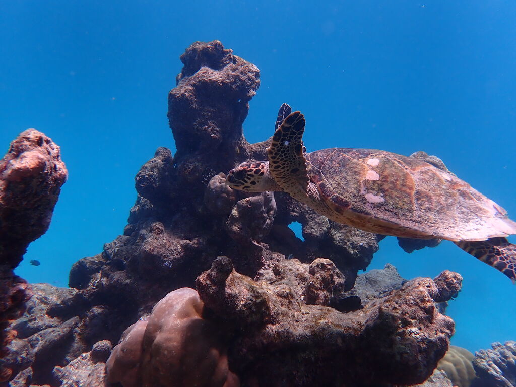 eaf780c5-44ee-4bda-9675-40ea081a7ad9