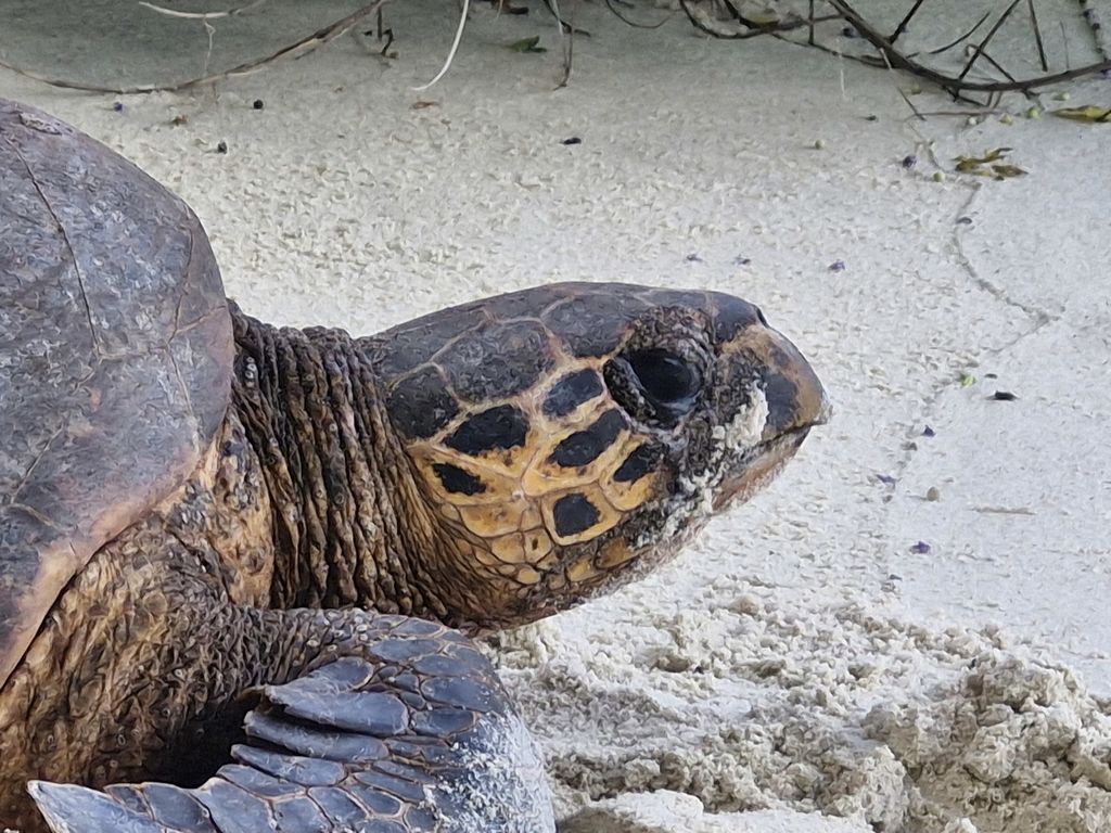 aa529bea-9572-4d9a-88f2-75c62a6f5846